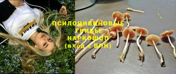гидропоника Алзамай